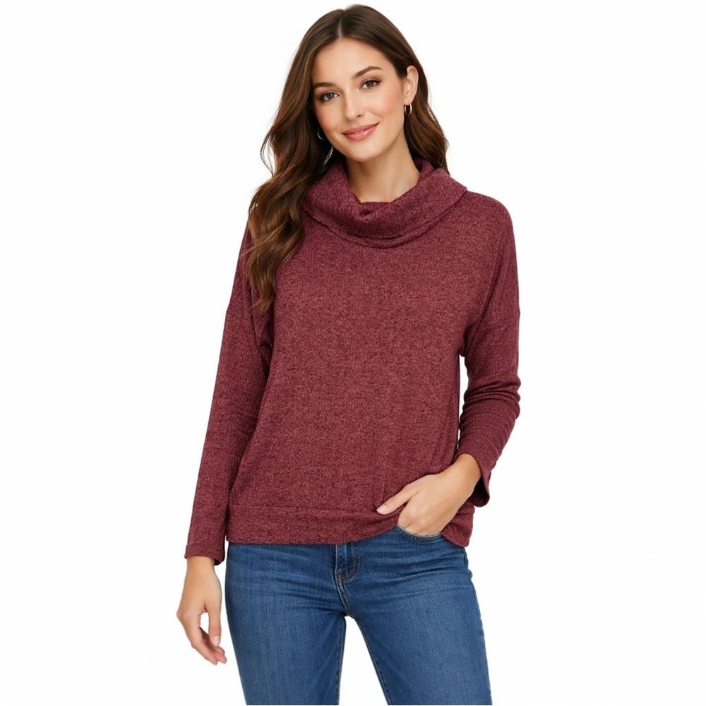 Parallel Skies Maroon Cowl Neck Long Sleeve Sweater Top Large